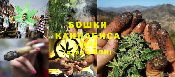 PSILOCYBIN Алзамай