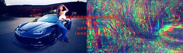 PSILOCYBIN Алзамай