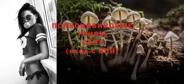 PSILOCYBIN Алзамай